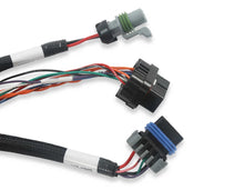 Load image into Gallery viewer, Holley EFI Firmware Updating - Dash Configuration - ECU Testing 558-127 - Additional View 9