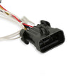 Load image into Gallery viewer, Holley EFI HEI Ignition Harness Avenger EFI, HP EFI &amp; Dominator EFI 558-304 - Back View