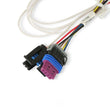 Load image into Gallery viewer, Holley EFI HEI Ignition Harness Avenger EFI, HP EFI &amp; Dominator EFI 558-304 - Installation View