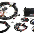 Load image into Gallery viewer, Holley EFI HP EFI ECU &amp; Harness Kits 550-602 - Main Product View