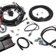Load image into Gallery viewer, Holley EFI HP EFI ECU &amp; Harness Kits 550-603 - Main Product View