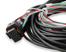 Load image into Gallery viewer, Holley EFI Holley EFI 12.3" Standalone Pro Dash 553-116 - Additional View 11