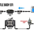 Load image into Gallery viewer, Holley EFI Holley EFI 15-90 PSI Fuel Regulator 6AN Boost Reference 1:1 12-894 - Back View