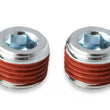 Load image into Gallery viewer, Holley EFI Holley EFI 1/8NPT Sensor Block 534-35 - Back View