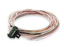 Load image into Gallery viewer, Holley EFI Holley EFI 6.86" Standalone Pro Dash 553-117 - Additional View 7