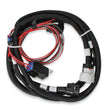 Load image into Gallery viewer, Holley EFI Holley EFI Transmission Control Harness 558-405 fits GM 4L60 (Pre-2009) / 4L80 - Main Product View