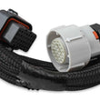 Load image into Gallery viewer, Holley EFI Holley EFI Transmission Control Harness 558-405 fits GM 4L60 (Pre-2009) / 4L80 - Side View