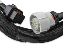 Load image into Gallery viewer, Holley EFI Holley EFI Transmission Control Harness 558-405 fits GM 4L60 (Pre-2009) / 4L80 - Side View