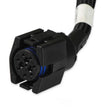 Load image into Gallery viewer, Holley EFI Holley EFI Transmission Control Harness 558-473 fits 1996-2003 Chrysler 46RE - Additional View 9