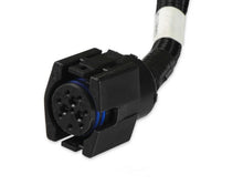 Load image into Gallery viewer, Holley EFI Holley EFI Transmission Control Harness 558-473 fits 1996-2003 Chrysler 46RE - Additional View 9