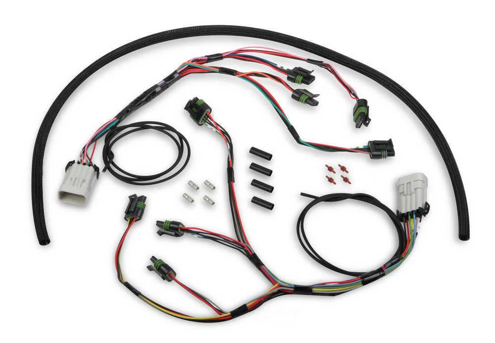 Holley EFI Holley® HP and Dominator ECUs and other EFI Systems 558-312