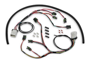 Holley EFI Holley® HP and Dominator ECUs and other EFI Systems 558-312