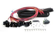 Load image into Gallery viewer, Holley EFI Injector Harness - Universal Unterminated 558-204