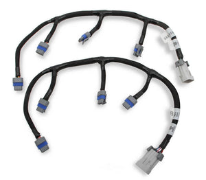 Holley EFI LS Coil Harnesses 558-321 fits LS - Main Product View