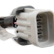 Load image into Gallery viewer, Holley EFI LS Coil Harnesses 558-321 fits LS - Side View