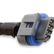 Load image into Gallery viewer, Holley EFI LS Coil Harnesses 558-321 fits LS - Detail View