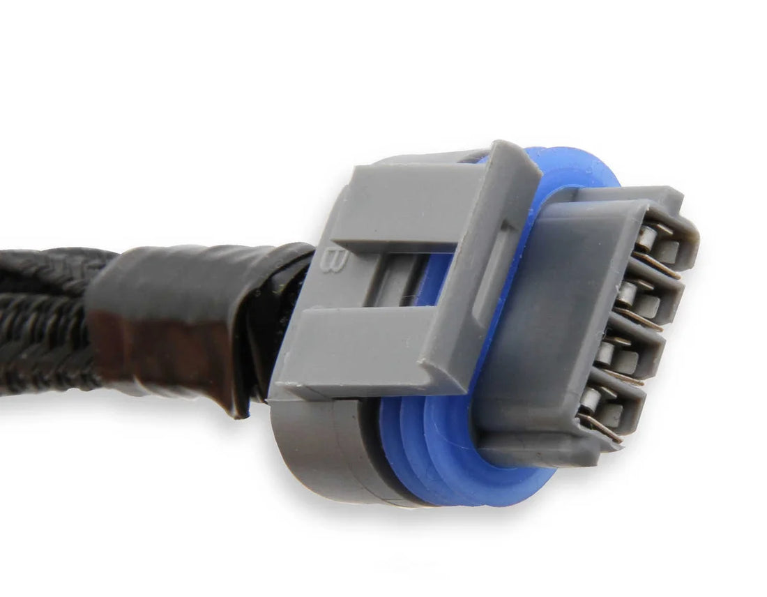 Holley EFI LS Coil Harnesses 558-321 fits LS - Detail View