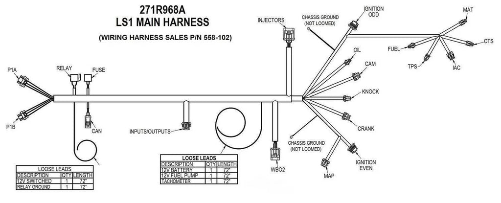 Holley EFI LS1/6 Main Harness for HP EFI & Dominator EFI 558-102 fits LS1 / LS6 - Detail View