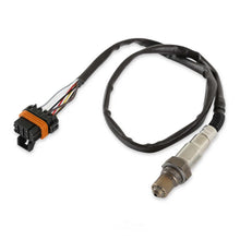 Load image into Gallery viewer, Holley EFI LSU4 Bosch Wideband 554-101 - Main Product View