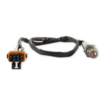 Load image into Gallery viewer, Holley EFI LSU4 Bosch Wideband 554-101 - Side View