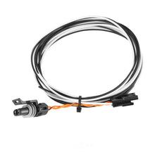 Load image into Gallery viewer, Holley EFI NEW DEVICE TO TWO PIN MAIN HARNESS 558-430 - Side View