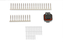 Load image into Gallery viewer, Holley EFI OEM Quality Connector 570-346 - Main Product View