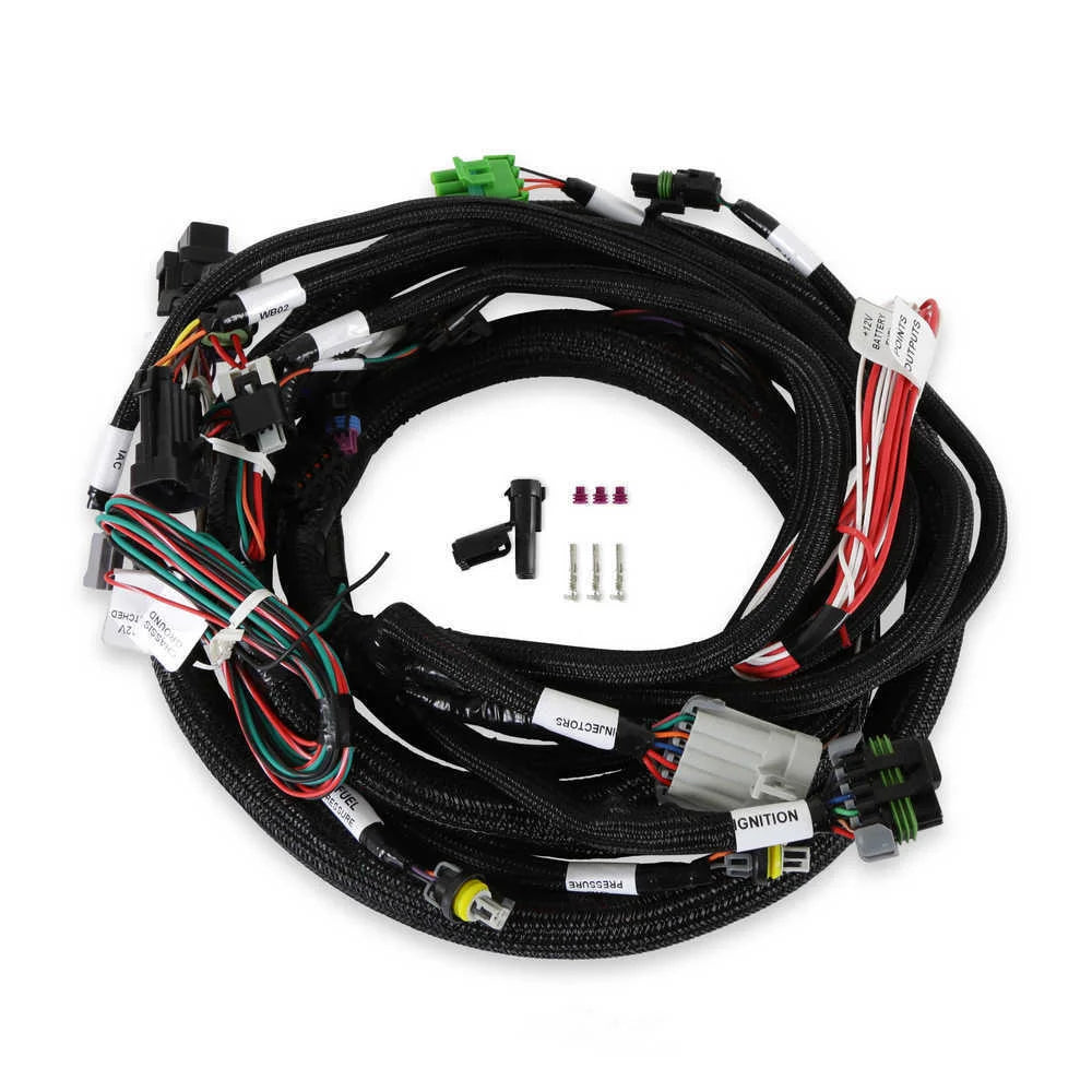 Holley EFI Plug and Play with fuel injected Engines 558-128 fits Ford 5.0L Small Block - Main Product View