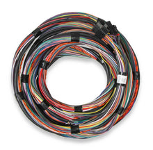 Load image into Gallery viewer, Holley EFI Pre-Terminated J1A / J1B 15' Flying Lead Main Harness 558-126 - Main Product View