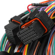 Load image into Gallery viewer, Holley EFI Pre-Terminated J1A / J1B 15' Flying Lead Main Harness 558-126 - Side View