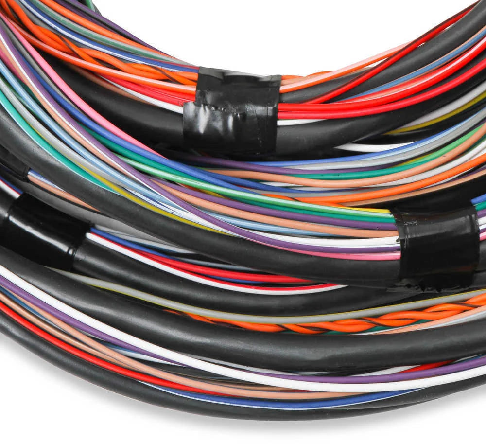 Holley EFI Pre-Terminated J1A / J1B 15' Flying Lead Main Harness 558-126 - Back View