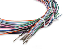Load image into Gallery viewer, Holley EFI Pro Dash Input / Output Harness 558-456 - Back View