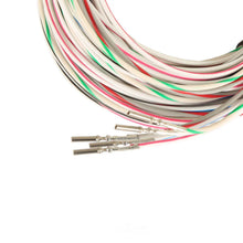 Load image into Gallery viewer, Holley EFI Terminator EFI Input/Output Kit 558-420 - Detail View