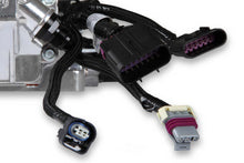 Load image into Gallery viewer, Holley EFI Terminator X Stealth 4500 - Shiny 550-1070 - Additional View 14