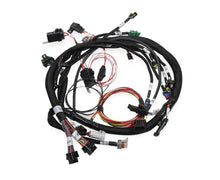 Load image into Gallery viewer, Holley EFI Universal MPFI Coil On Plug Main Harness 558-117