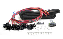 Load image into Gallery viewer, Holley EFI Universal Unterminated Injector Harness 558-204