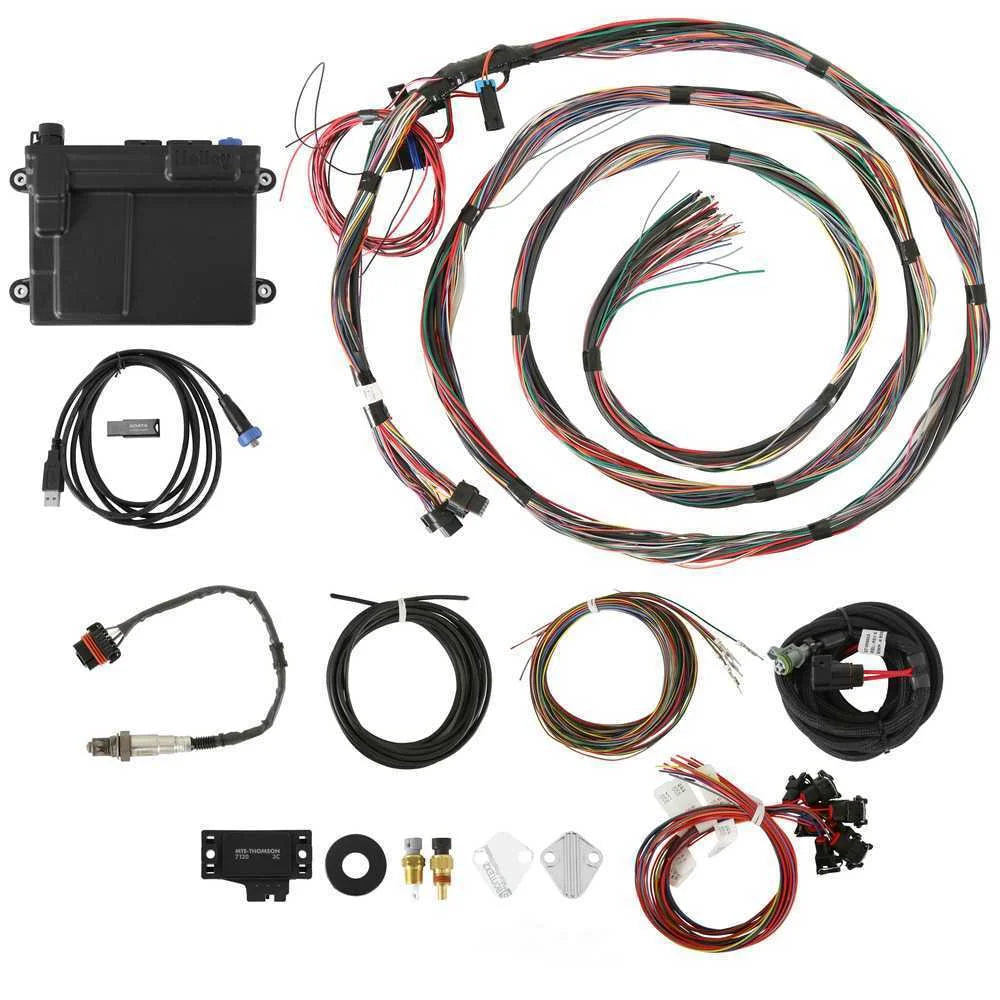 Holley EFI Unterminated Universal Harness, Includes Bosch Oxygen Sensor 550-605 - Main Product View