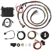Load image into Gallery viewer, Holley EFI Unterminated Universal Harness, Includes Bosch Oxygen Sensor 550-605 - Main Product View