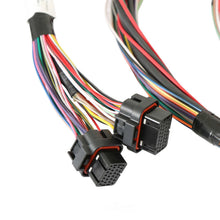 Load image into Gallery viewer, Holley EFI Unterminated Universal Harness, Includes Bosch Oxygen Sensor 550-605 - Back View