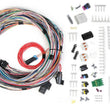 Load image into Gallery viewer, Holley EFI Unterminated Universal Main Harness HP EFI &amp; Dominator EFI 558-105