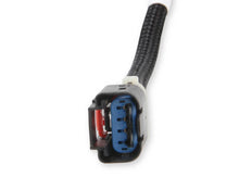 Load image into Gallery viewer, Holley EFI Use with Terminator X or Terminator X Max Only 558-132 - Additional View 6