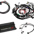 Load image into Gallery viewer, Holley EFI With Coil on Plug Main and Sub Harness with EV1 Injector Harness 550-655 - Main Product View