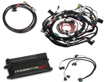 Load image into Gallery viewer, Holley EFI With Coil on Plug Main and Sub Harness with EV1 Injector Harness 550-655 - Main Product View