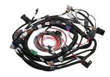 Load image into Gallery viewer, Holley Ford MPFI Coil On Plug Main Harness 558-118
