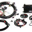 Load image into Gallery viewer, Holley HP ECU &amp; Harness LS1/LS6 NTK 550-602N