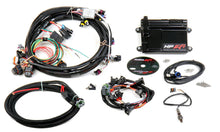 Load image into Gallery viewer, Holley HP ECU &amp; Harness LS1/LS6 NTK 550-602N