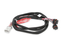 Load image into Gallery viewer, Holley Harness  Injector Driver Module 558-219