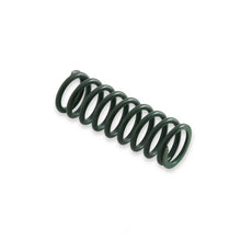 Load image into Gallery viewer, Holley High Pressure Spring 302-102 fits Godzilla 7.3L Engine - Main Product View