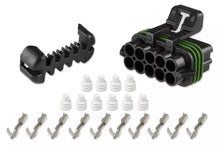 Load image into Gallery viewer, Holley Ignition Sub-Harness Female Conn. 10-PIn 570-203