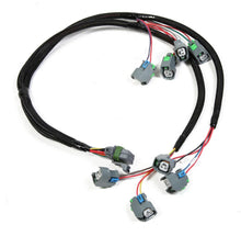 Load image into Gallery viewer, Holley Injector Wiring Harness V8 EV6 Style Injectors 558-201