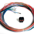Load image into Gallery viewer, Holley J2B Auxiliary Harness Kit 558-402